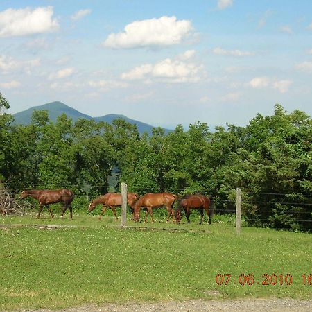 Bent Mountain Lodge Роанок Екстер'єр фото