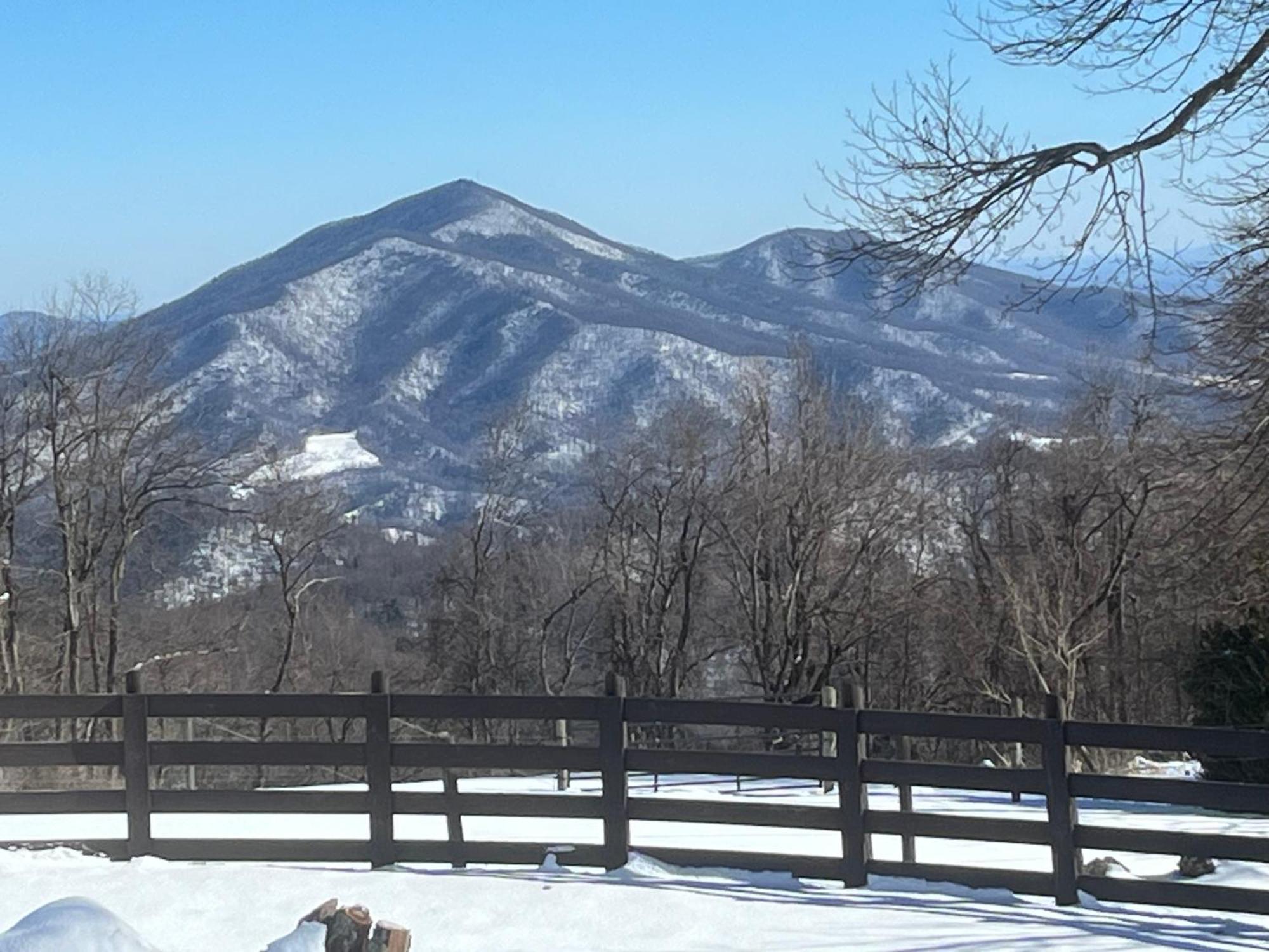 Bent Mountain Lodge Роанок Екстер'єр фото