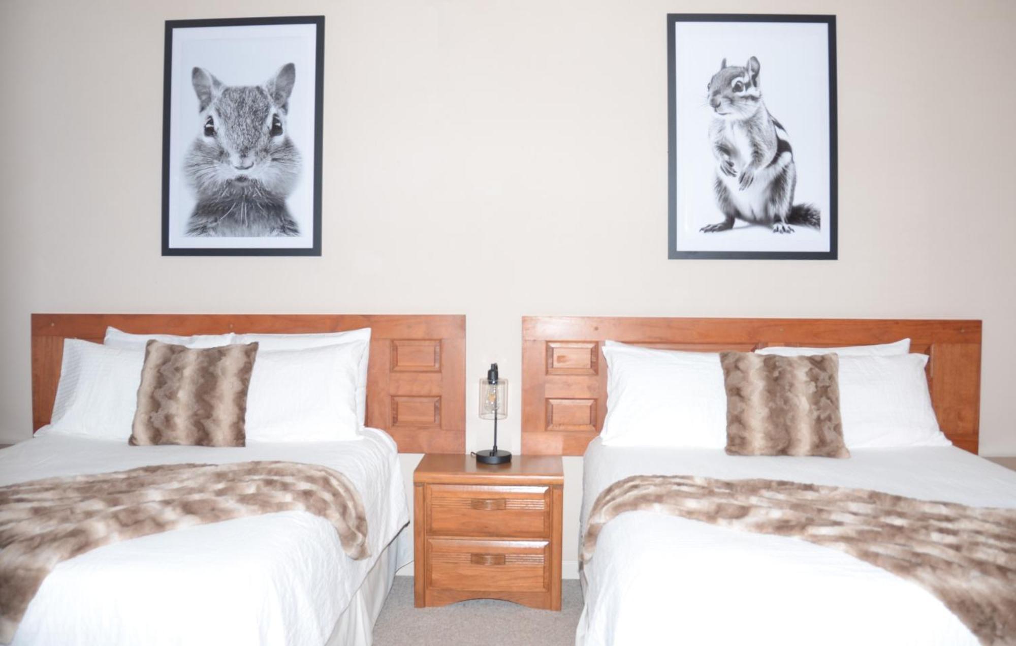 Bent Mountain Lodge Роанок Екстер'єр фото