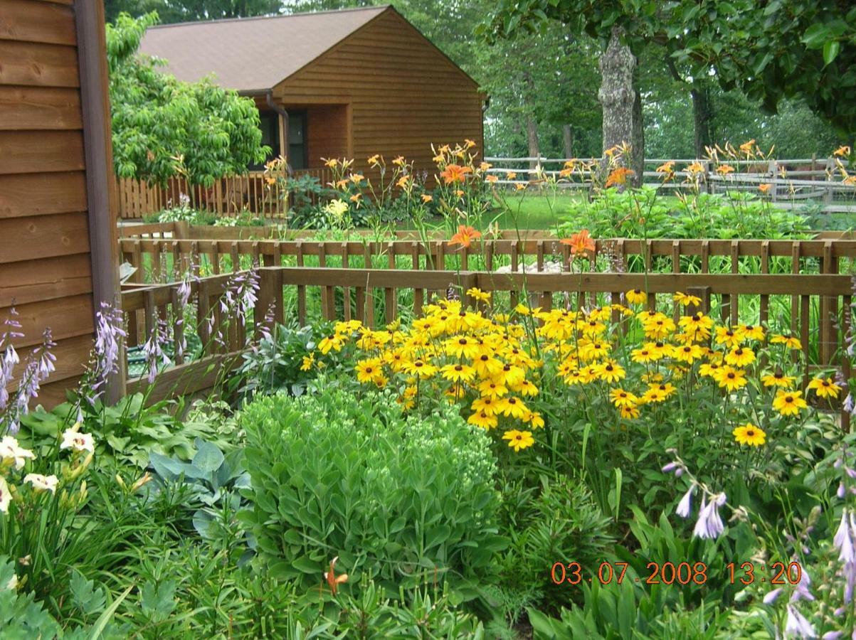 Bent Mountain Lodge Роанок Екстер'єр фото